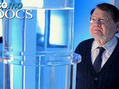 Water Memory (2014 Documentary about Nobel Prize laureate Luc Montagnier)