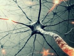 Athene’s Theory of Everything