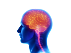 Neurofeedback Systems Market : Quantitative Market Analysis, Current and Future Trends, 2017-2027