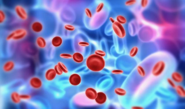 Blood-cells-platelets-shutterstock_212683636-33xhh2uasgsvacig2ms3r4